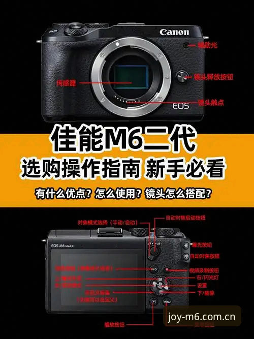 M6注册教程评测 M6体育平台注册使用完整指南:从零开始的新手教程评测